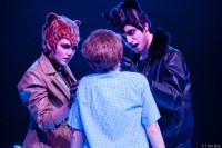 Tahira Schäfer, Johannes Ipfelkofer Thilo Beu